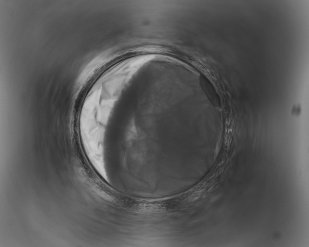 X0000115120296200912081351