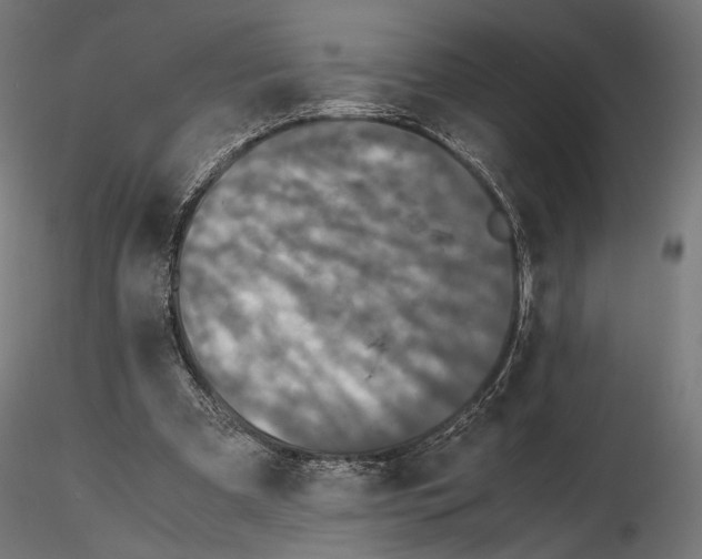 X0000115120297200912081351