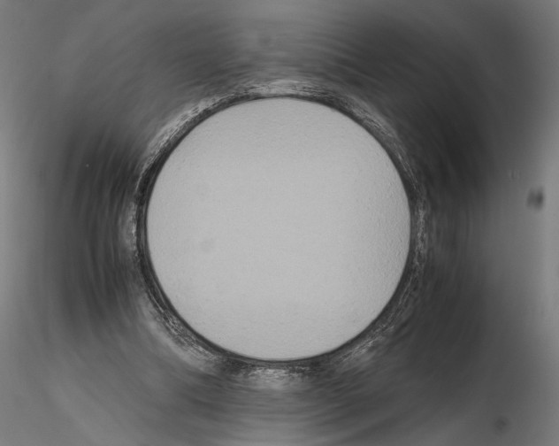 X0000115120298200912081351