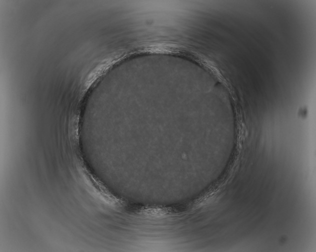 X0000115120299200912081351