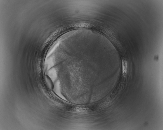 X0000115120300200912081351