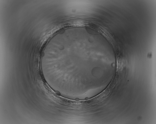 X0000115120301200912081351