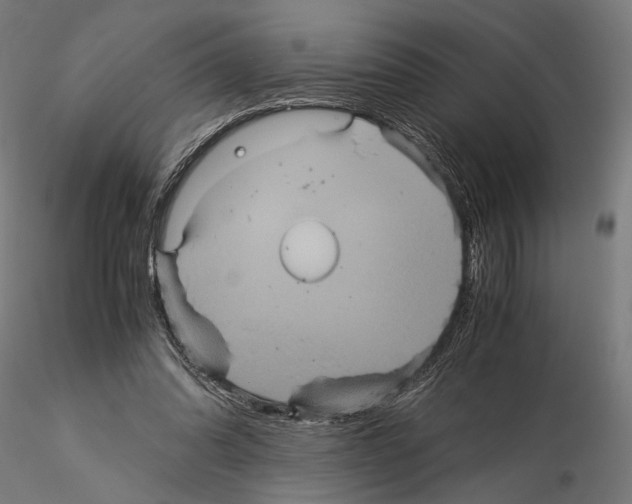 X0000115120302200912081351