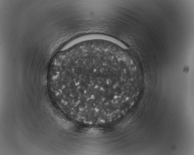 X0000115120303200912081351