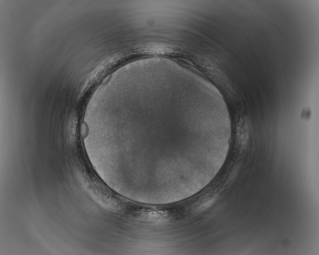 X0000115120304200912081351