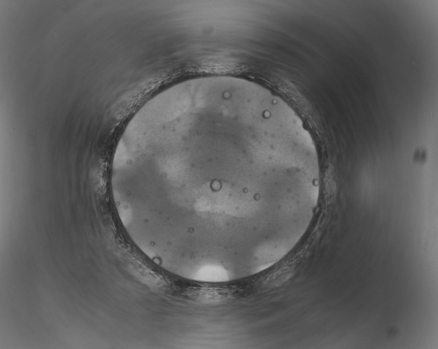 X0000115120305200912081351