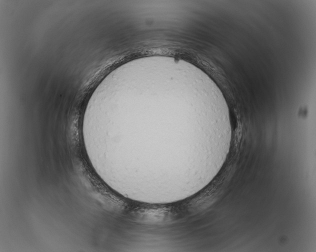 X0000115120306200912081351