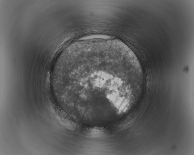 X0000115120308200912081351