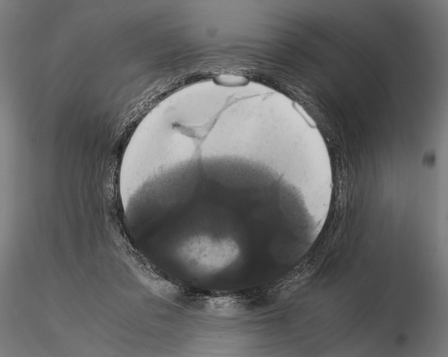 X0000115120309200912081351