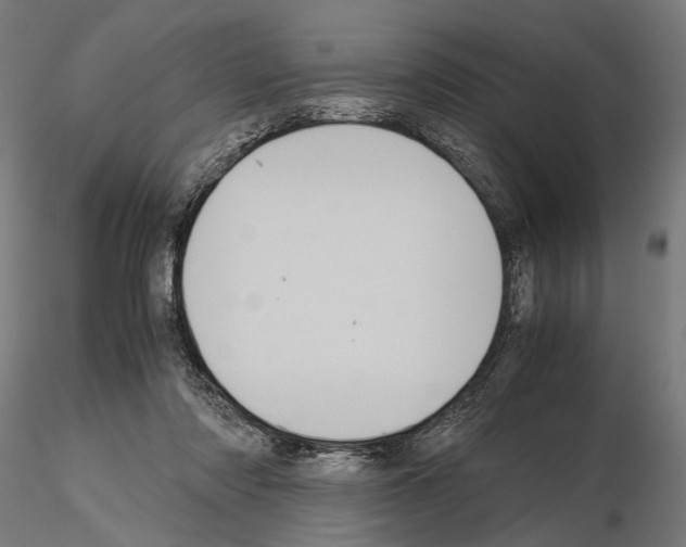 X0000115120310200912081351