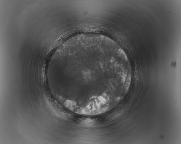 X0000115120312200912081350