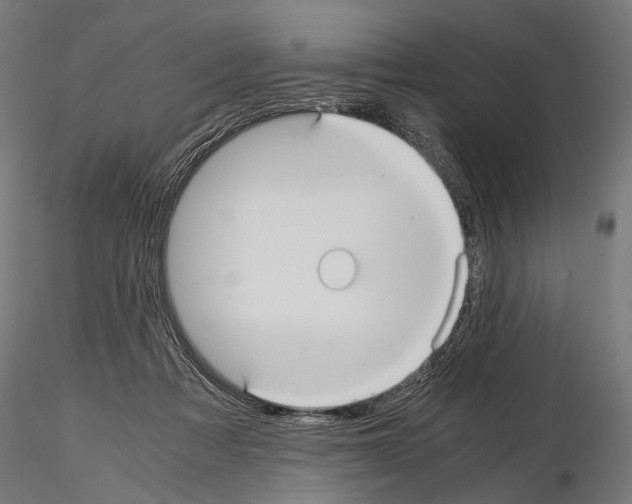 X0000115120313200912081350