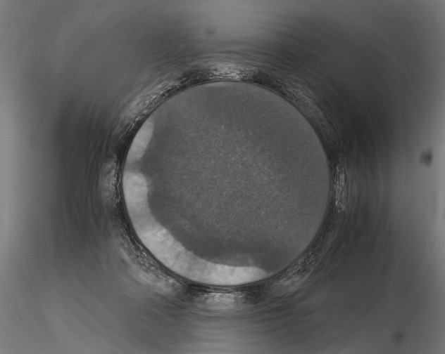 X0000115120314200912081350