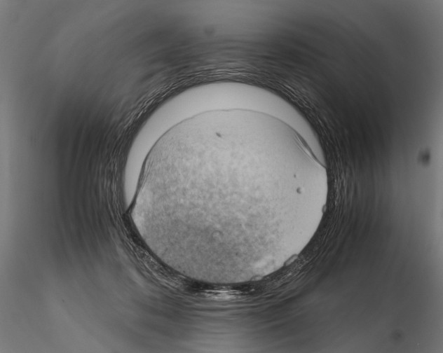 X0000115120316200912081350