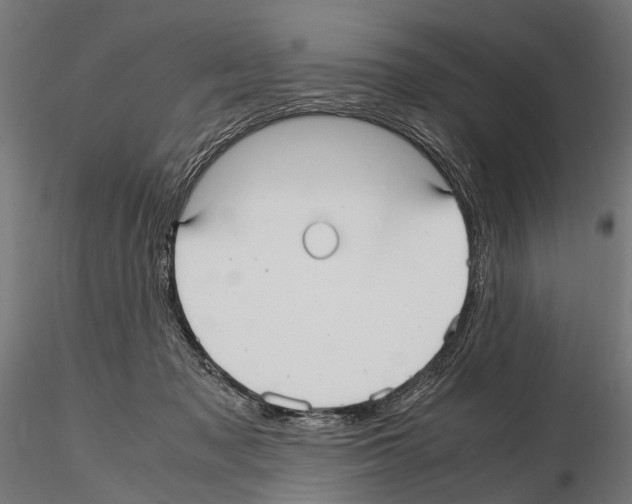 X0000115120317200912081350