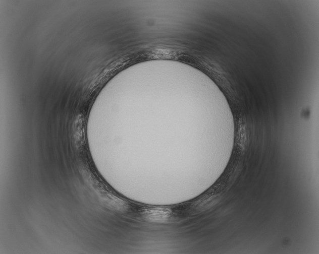 X0000115120318200912081350