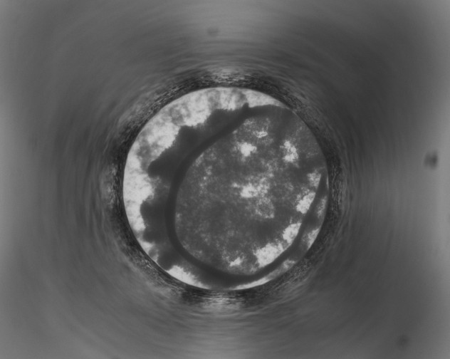 X0000115120319200912081350