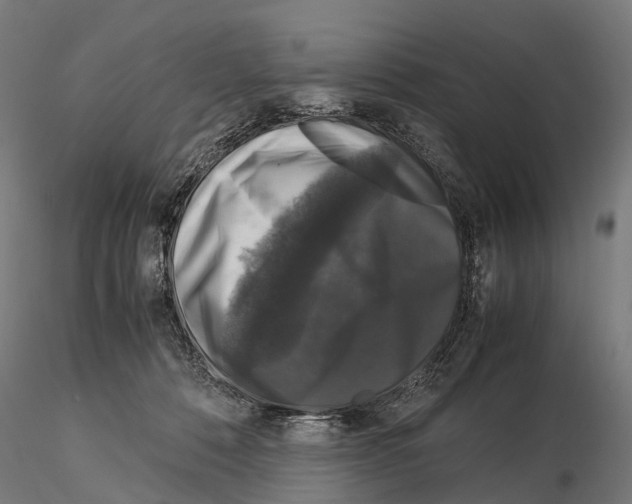 X0000115120320200912081350