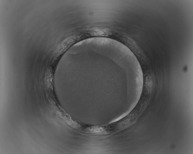 X0000115120322200912081350