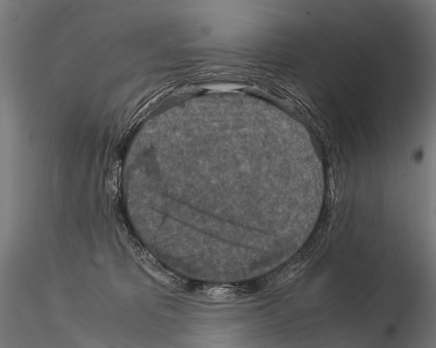 X0000115120325200912081350