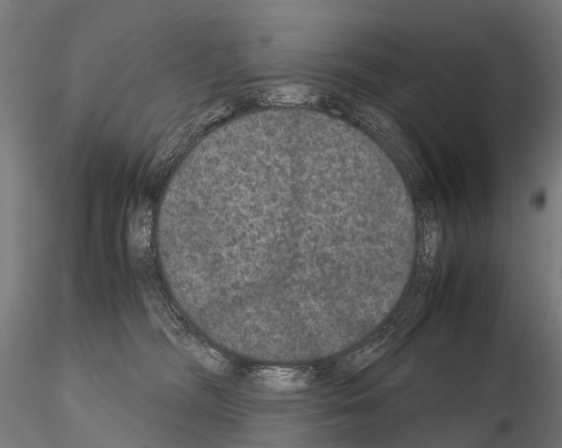 X0000115120326200912081350