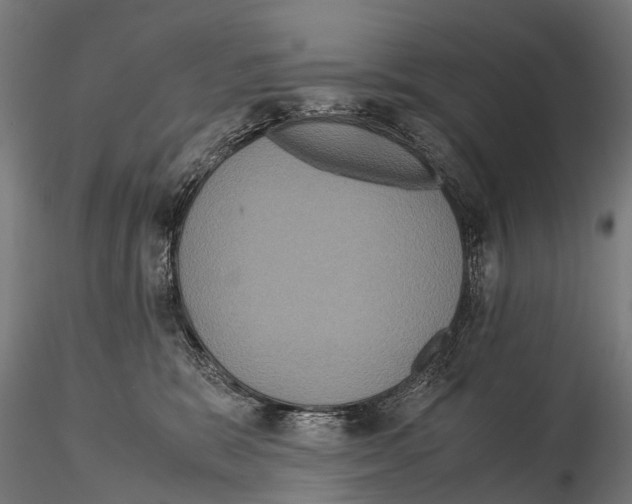 X0000115120327200912081350