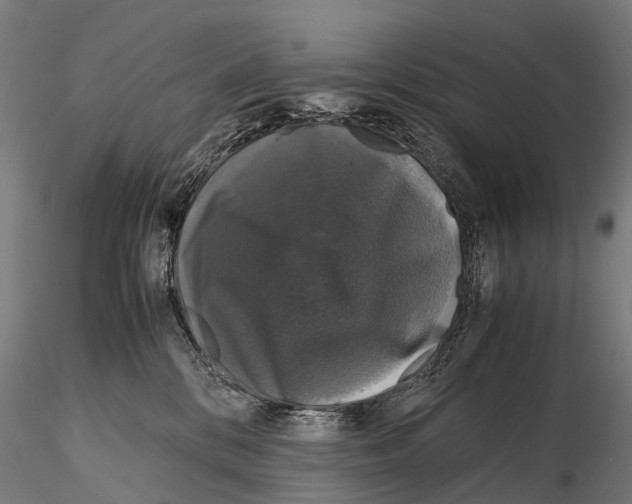 X0000115120328200912081350