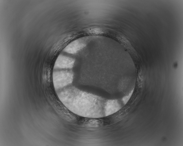 X0000115120330200912081350