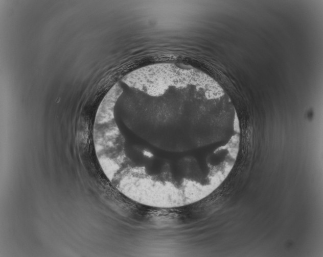 X0000115120331200912081350