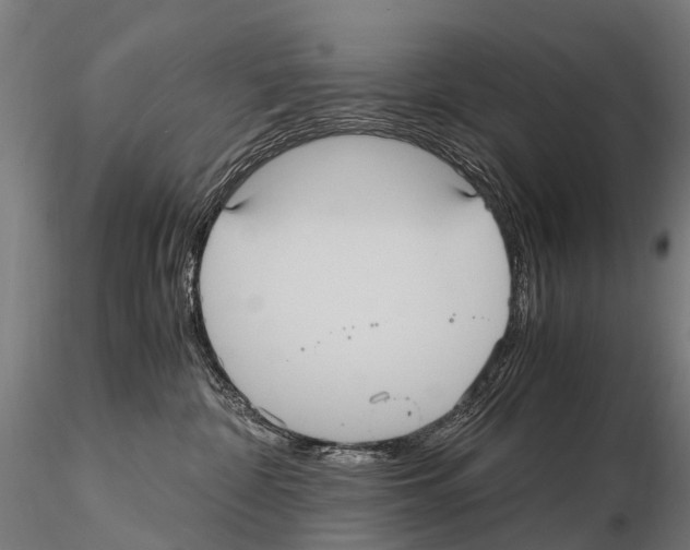 X0000115120332200912081350