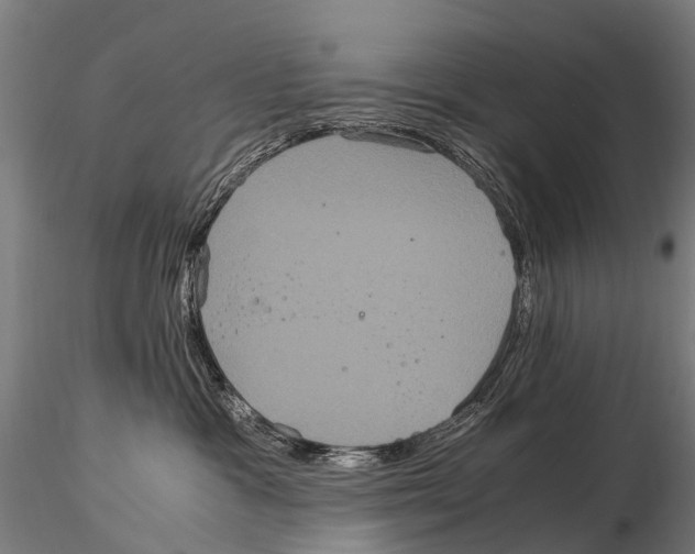 X0000115120333200912081350