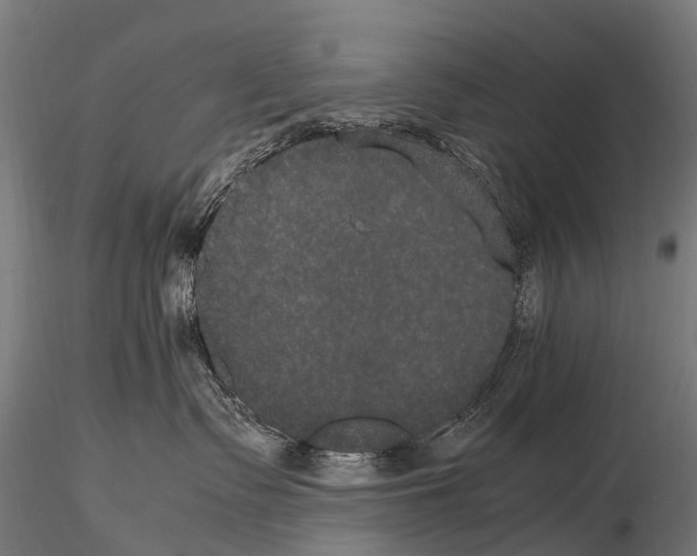 X0000115120335200912081350