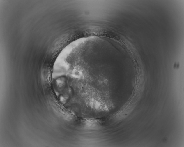 X0000115120336200912081350