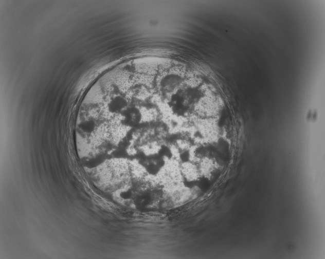 X0000115120337200912081349