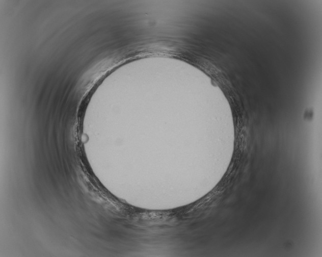 X0000115120338200912081349