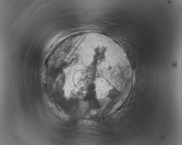 X0000115120339200912081349