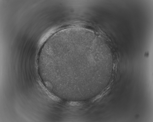 X0000115120341200912081349