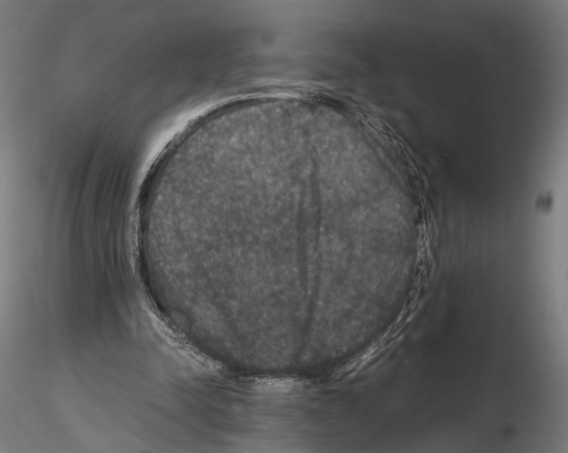 X0000115120342200912081349