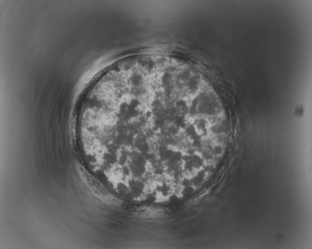 X0000115120343200912081349