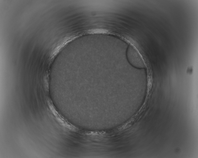 X0000115120345200912081349