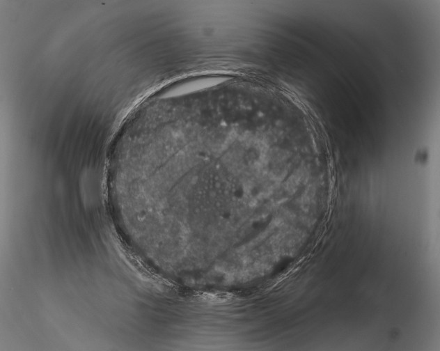 X0000115120346200912081349