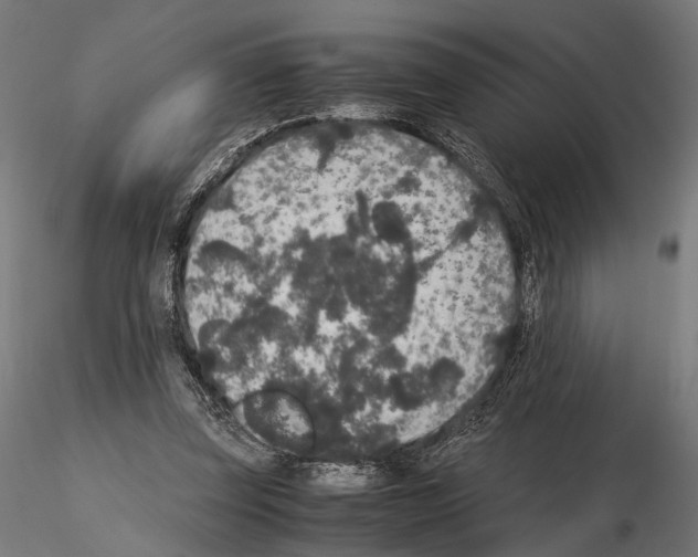 X0000115120347200912081349