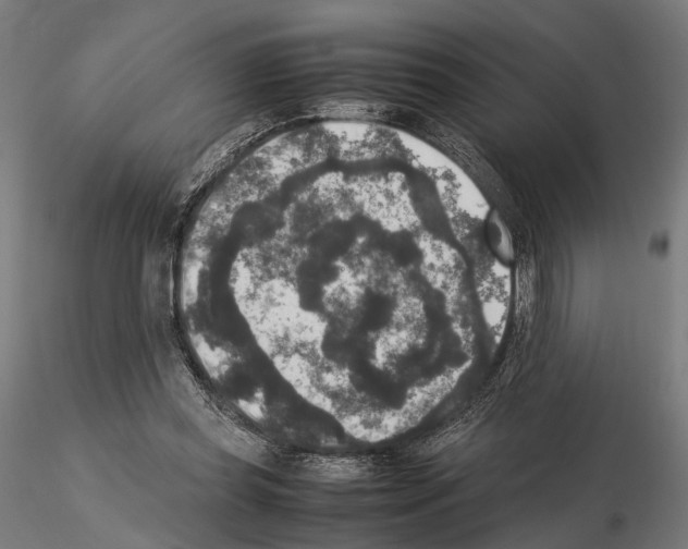 X0000115120349200912081349