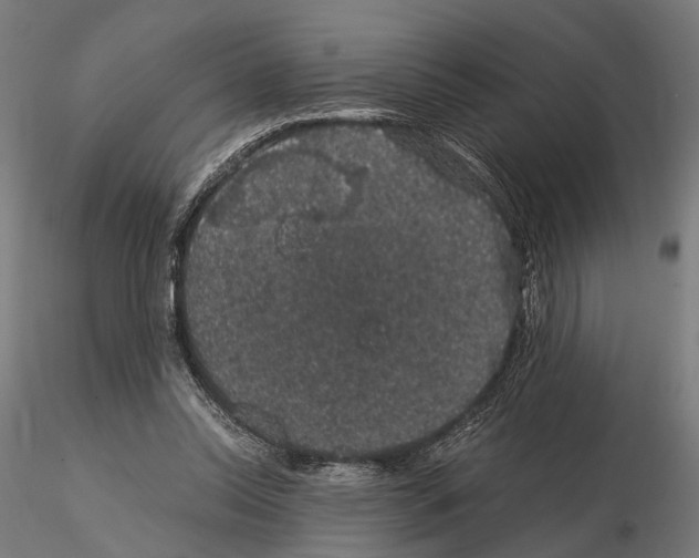 X0000115120350200912081350