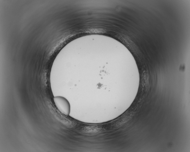 X0000115120351200912081350