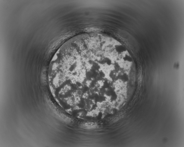 X0000115120353200912081350