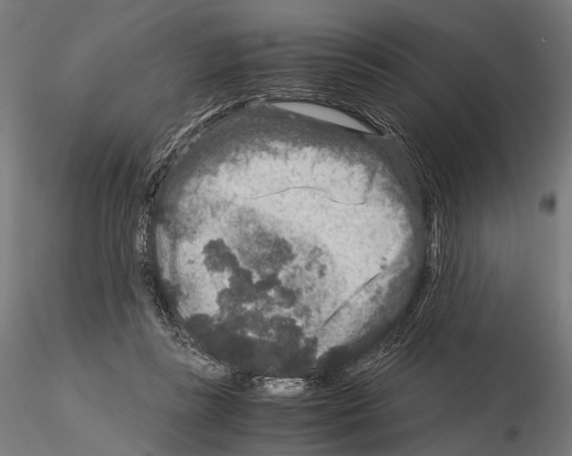 X0000115120355200912081350