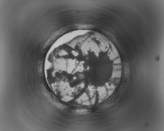 X0000115120357200912081350