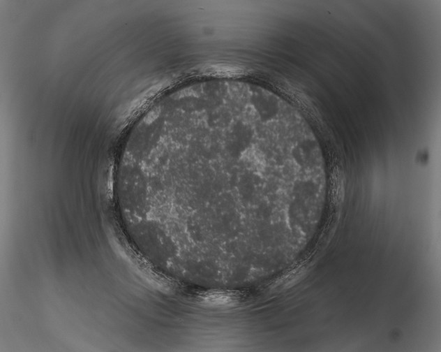 X0000115120358200912081350