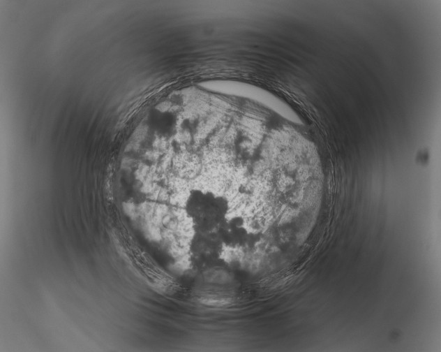 X0000115120359200912081350